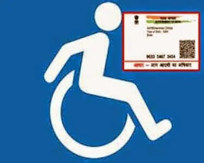 Disabled Persons Tax Credit : 残疾人税收抵免