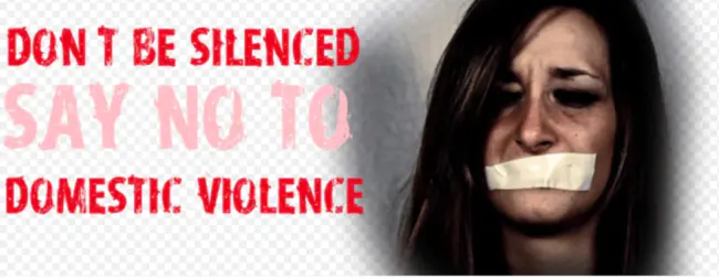 Domestic Violence Advisory Council : 家庭暴力咨询委员会