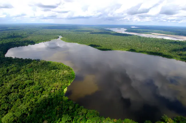 Amazonia : 亚马孙星座