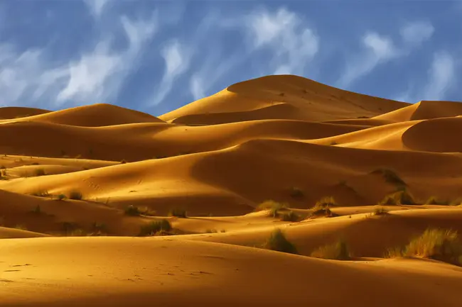 Sahara : 撒哈拉沙漠