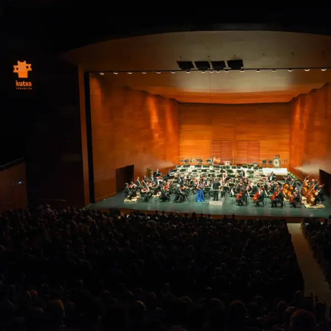 Euskadiko ikasleen orkestra : Euskadiko Ikasleen Orkestra公司