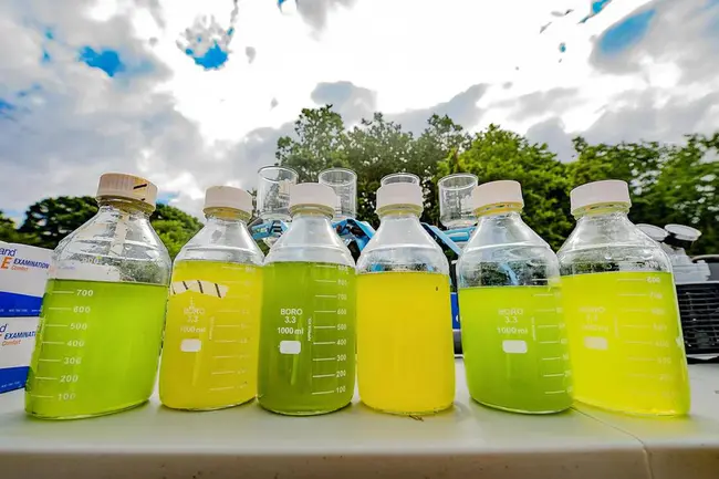 Algal Biomass Biofuels and Bioproducts : 藻类生物量生物燃料和生物制品