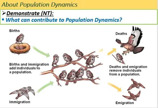 Population Interaction Zones for Agriculture : 农业人口互动区