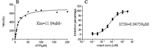 Kinase Sequence Database : 激酶序列数据库