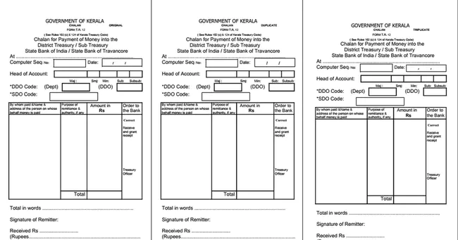 Tax Form Validator : 纳税申报人
