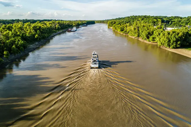 Mississippi Environmental Education Alliance : 密西西比环境教育联盟