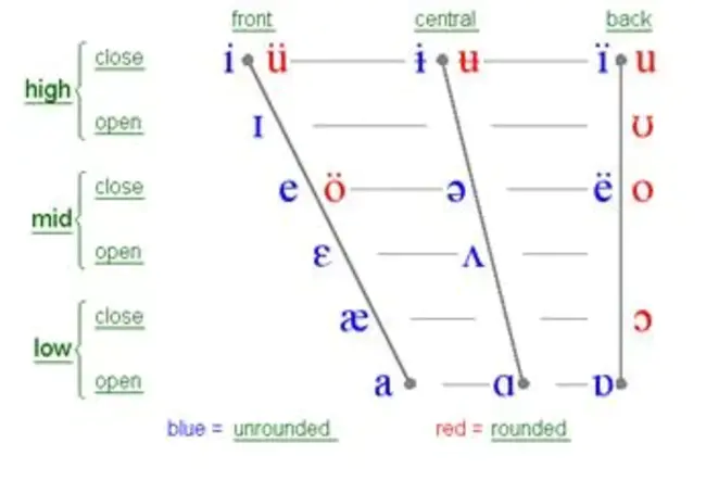 Manual of Articulatory Phonetics : 发音语音学手册