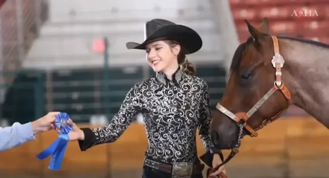 Alberta Friesian Horse Association : 阿尔伯塔弗里西亚马协会