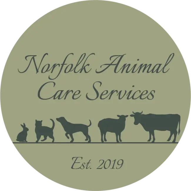 Norfolk Animal Care Center : 诺福克动物护理中心