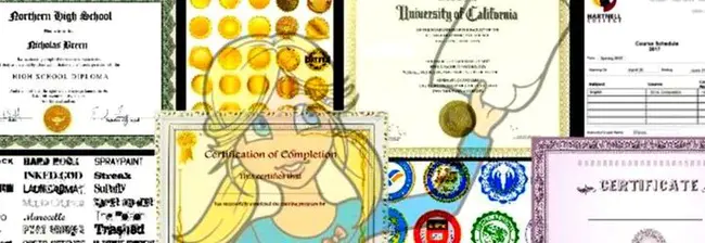 Graduate Diploma in Tertiary Education : 高等教育研究生文凭