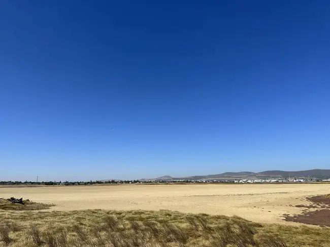 Table Bay Nature Reserve : 桌湾自然保护区