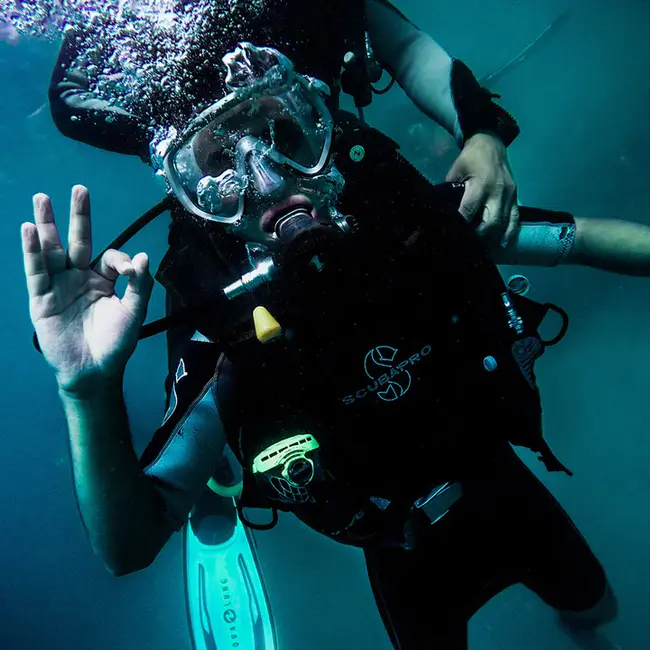 Underwater Diving Working Group : 水下潜水工作组