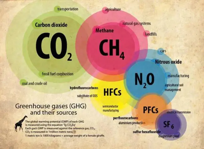 Major Leaking Gases : 主要泄漏气体