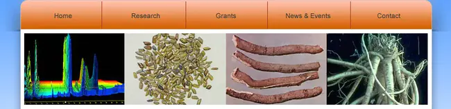 Asian Molecular Biology Organization : 亚洲分子生物学组织