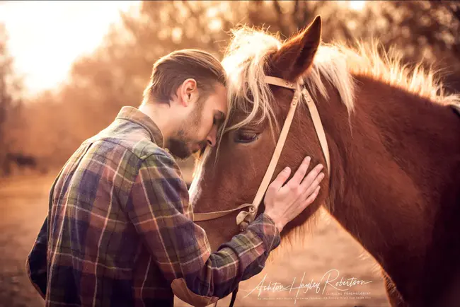 Equine herpesvirus myeloencephalopathy : 马疱疹病毒性脊髓脑病