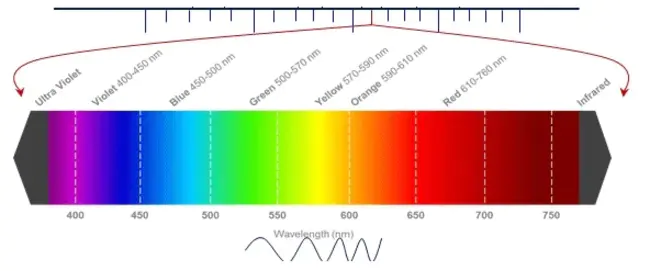 Wavelength Dispersive Spectrometry : 波长色散光谱法