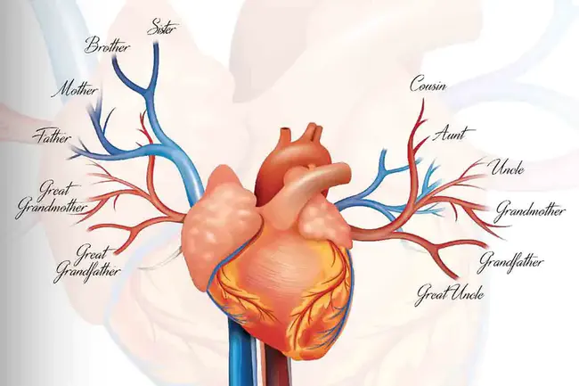 Autosomal Recessive Hypercholesterolemia : 常染色体隐性高胆固醇血症