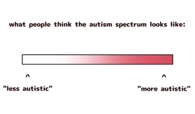 Autism Spectrum Therapies : 自闭症光谱疗法