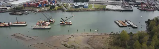 Duwamish River Cleanup Coalition : 杜瓦米什河清理联盟