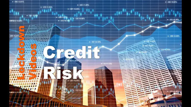 Credit Risk Management : 信用风险管理