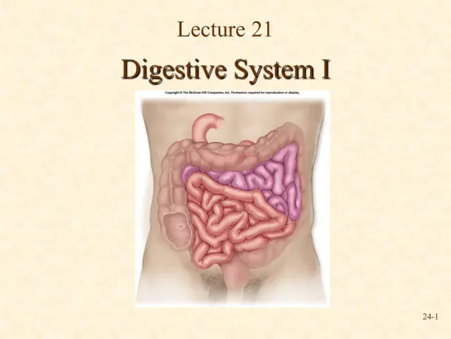 Digestive Physiology of Pigs : 猪消化生理学