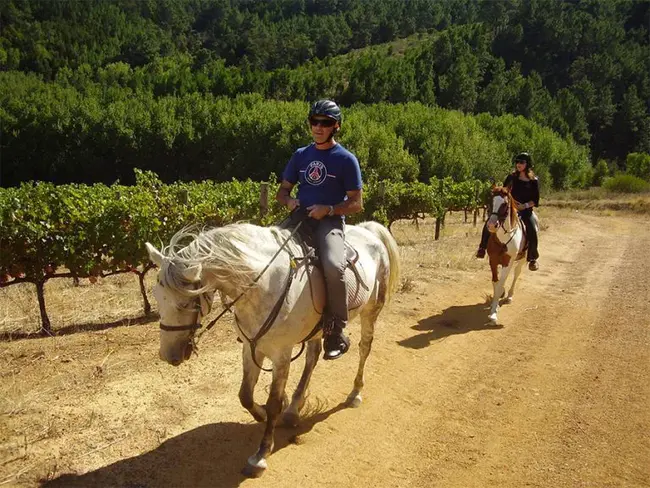 Trail Riding Equestrians in Kentucky : 肯塔基州的越野马术