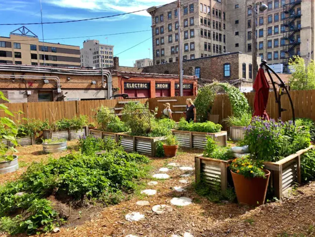 Duluth Community Garden Program : 德卢斯社区花园计划